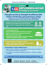 Afiche medidas de bioseguridad en gallineros