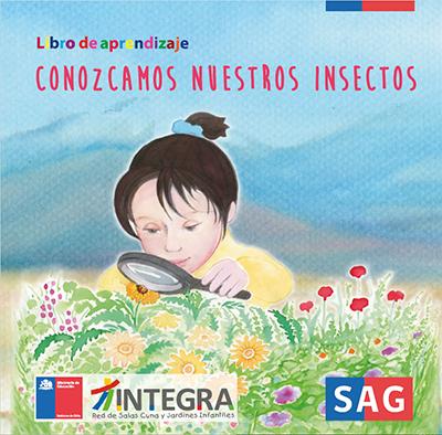 Conozcamos Nuestros Insectos