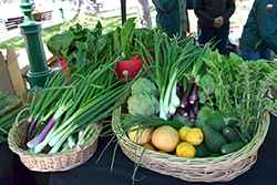 Prefiere los productos orgánicos