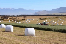 Como cada año el Ministerio de Agricultura, a través del Servicio Agrícola y Ganadero (SAG), inició las postulaciones al Programa de Mejoramiento de los Suelos Degradados (SIRSD-S), iniciativa que hace más de 12 años entrega un beneficio directo a los productores y productoras de la región, que presentan planes de manejo para mejorar y aumentar la productividad de sus praderas.