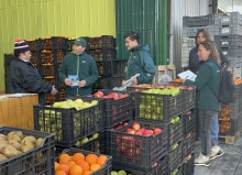 SAG Biobío realiza campaña informativa para evitar el ingreso de mosca de la fruta en Vega Monumental de Concepción