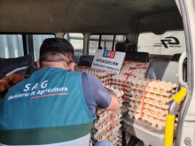 SAG intercepta en Arica más de 30.000 huevos de ingreso ilegal al país 