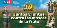 SAG reactiva campaña comunicacional para evitar el ingreso a Chile de la mosca de la fruta