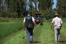 SAG Biobío llama a agricultores/as a postular a concursos del Programa Recuperación de Suelos 