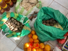 Diversidad de productos agropecuarios de riesgo decomisó SAG Tarapacá en fiesta de La Tirana