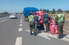 SAG Biobío realiza fiscalización a medios de transporte para prevenir la entrada de enfermedades cuarentenarias de la papa hacia la provincia de Arauco