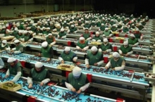 Planta de trabajadores revisa cerezas en línea de producción