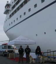 Inspectores del SAG Magallanes junto a sus canes revisan en puertos a los cruceros que llegan a la región.