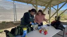 SAG Biobío reitera llamado a turistas a no ingresar productos de origen animal y vegetal de riesgo para el sector silvoagropecuario