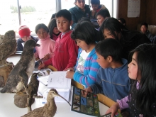 Niños aprendieron sobre especies protegidas y el cuidado de la fauna silvestre