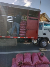 SAG retiene 100 sacos de papas que intentaban comercializar en la provincia de Arauco