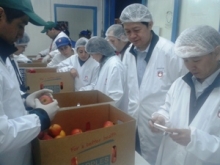 Comitiva AQSIQ inspecciona las manzanas para exportación